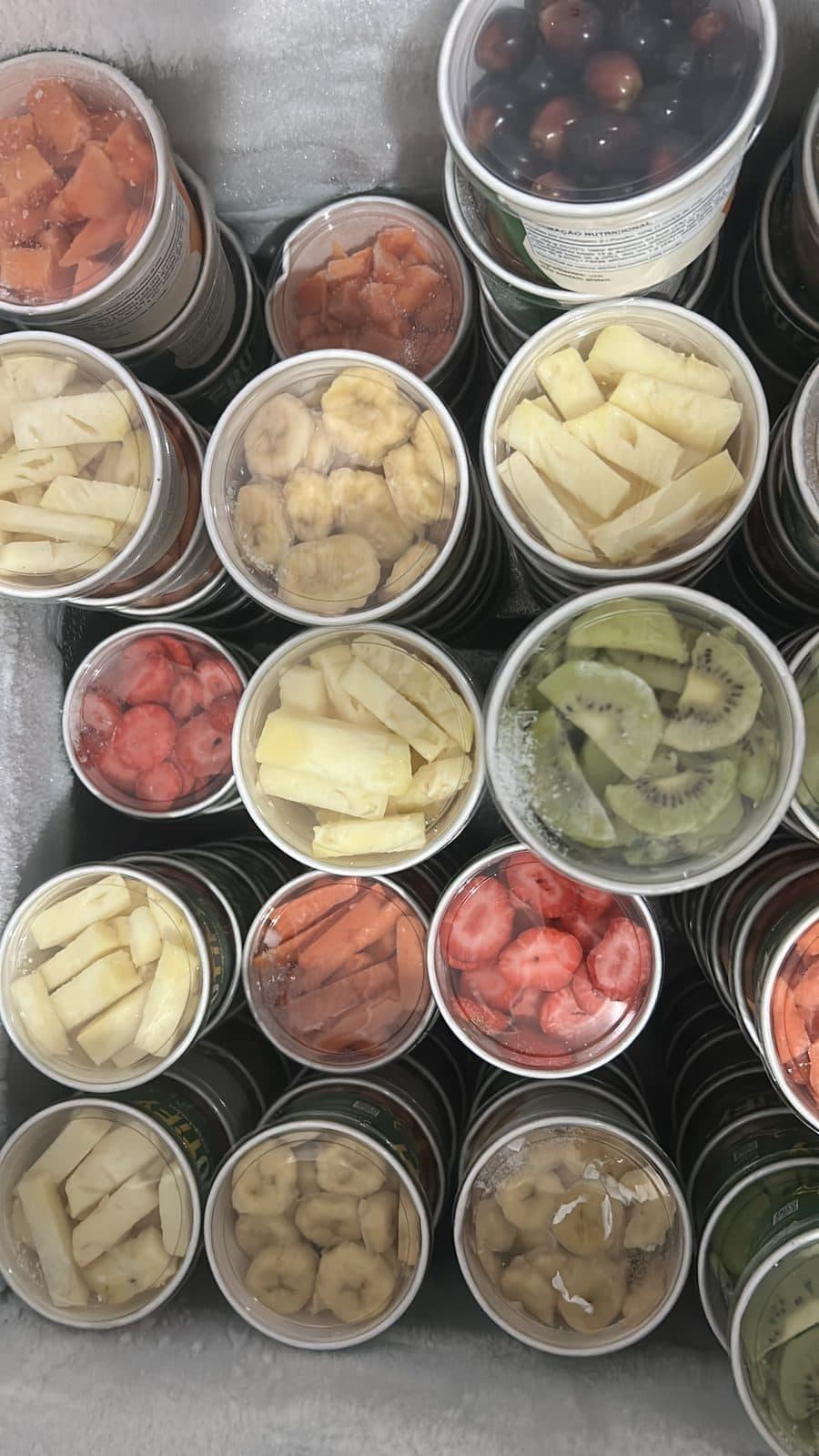 Potinhos Frutify vistos de cima, com frutas coloridas